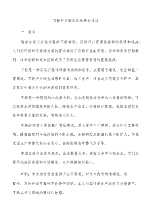 石粉行业面临的机遇与挑战.docx