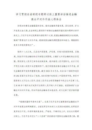 学习贯彻在省部级专题研讨班上重要讲话推进金融高水平对外开放心得体会.docx