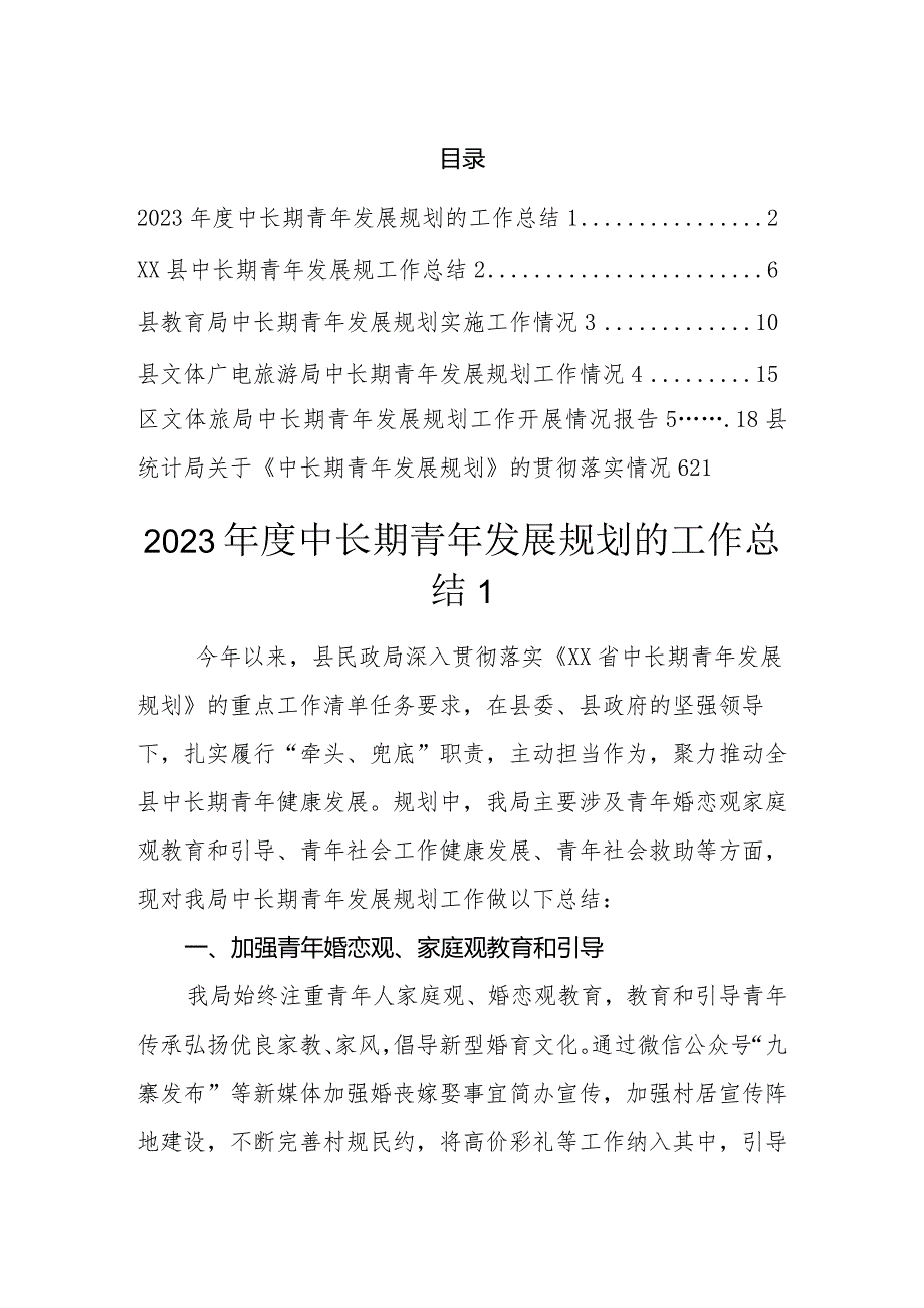 2023年度中长期青年发展规划工作汇报总结（6篇）.docx_第1页