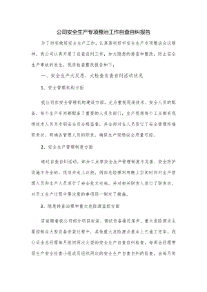 公司安全生产专项整治工作自查自纠报告.docx