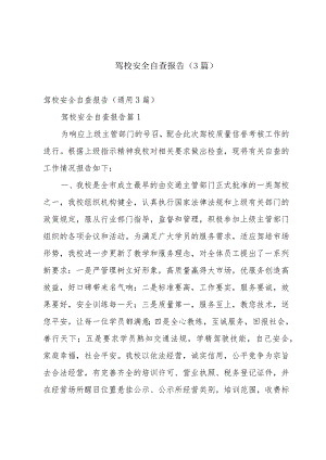 驾校安全自查报告（3篇）.docx