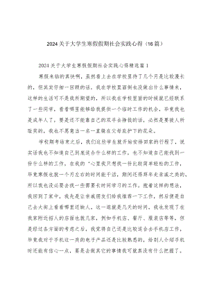 2024关于大学生寒假假期社会实践心得(16篇).docx