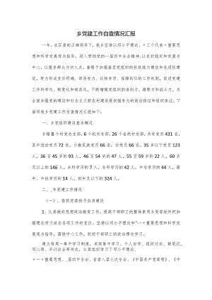 乡党建工作自查情况汇报.docx