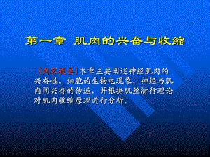 【基础医学】01 肌肉的兴奋与收缩.ppt