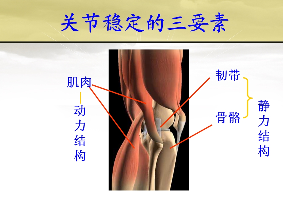 【精品PPT】脱位概论.ppt_第3页