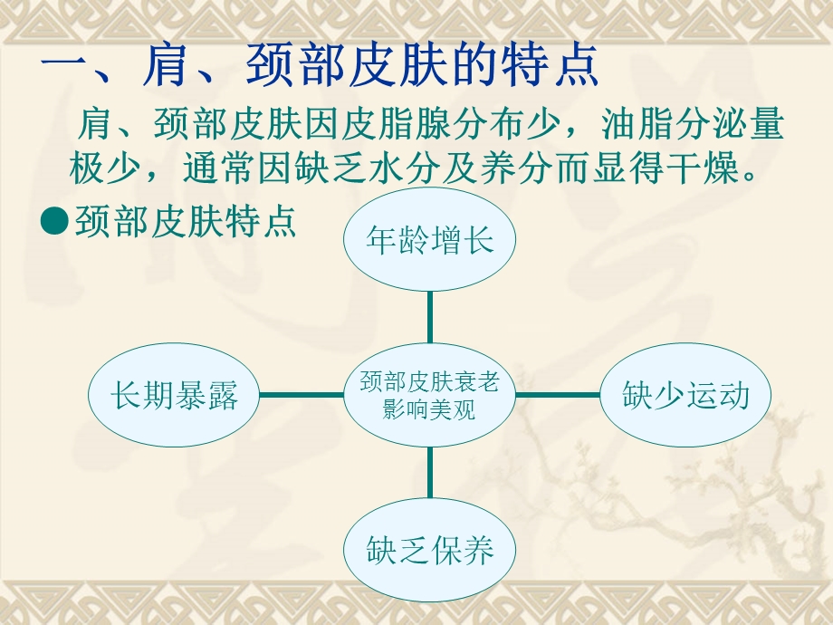 《肩、颈、手部皮肤护理》课件.ppt_第3页