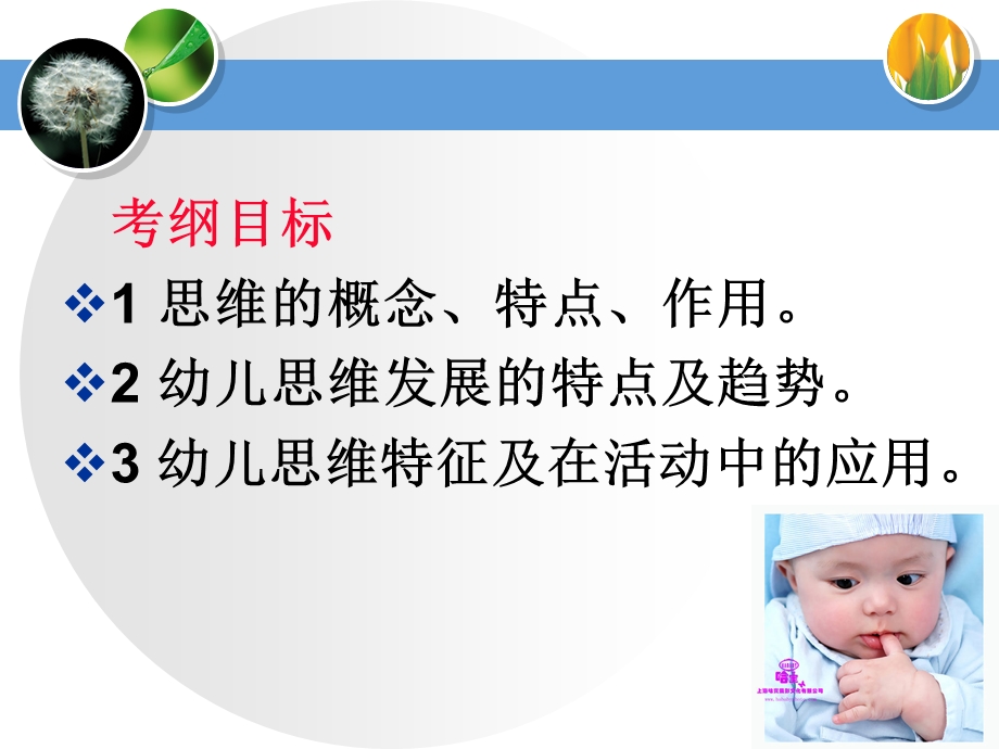 幼儿的思维课件(公开课).ppt_第2页