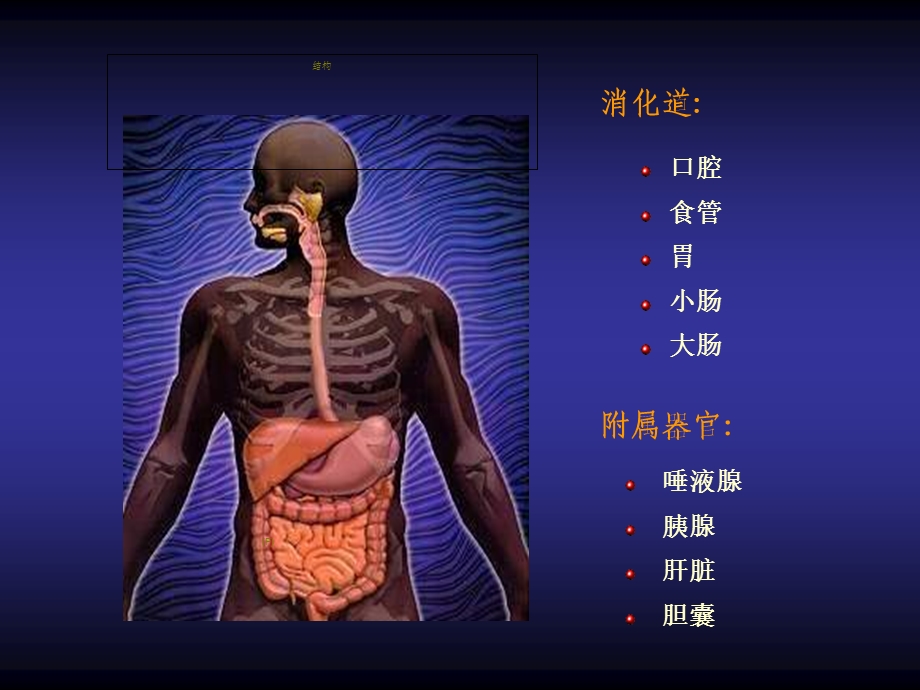 【基础医学】第六章　消化与吸收.ppt_第2页