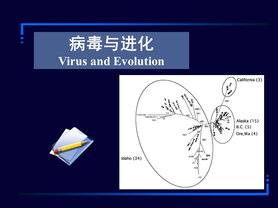 1 病毒和进化 讲稿.ppt_第1页