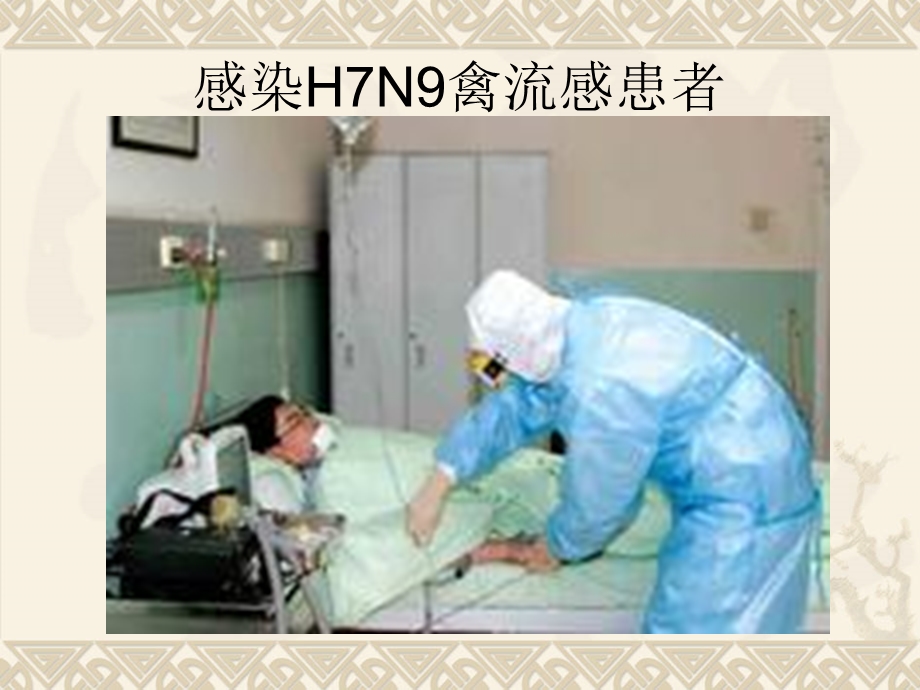 H7N9禽流感预防知识.ppt_第3页