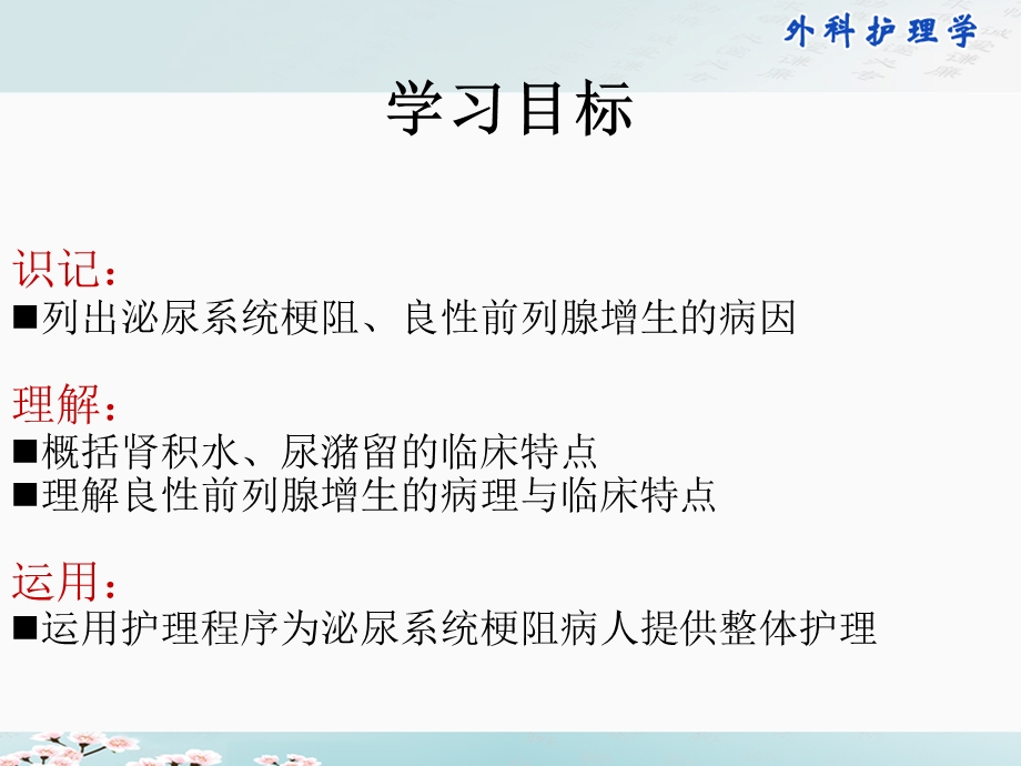 38第三十八章 泌尿系统梗阻病人的护理.ppt_第2页