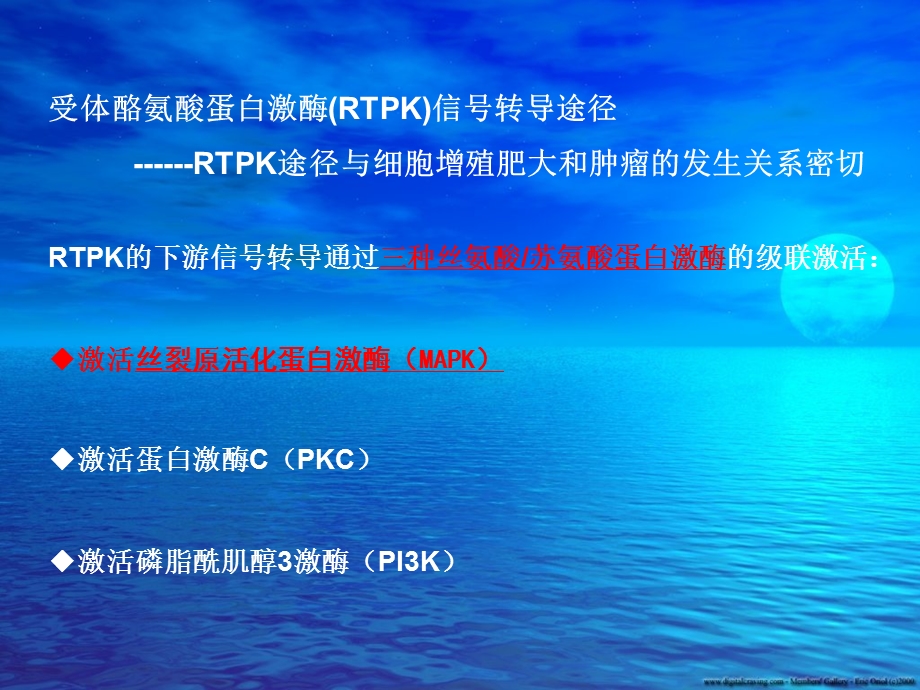 p38MAPK信号转导通路与肿瘤细胞.ppt.ppt_第3页