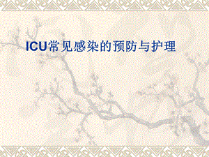 ICU常见感染的预防与护理.ppt