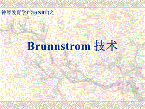 Brunnstrom 技术.ppt