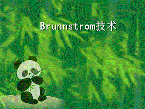 Brunnstrom技术.ppt