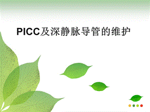 PICC及深静脉导管的维护.ppt