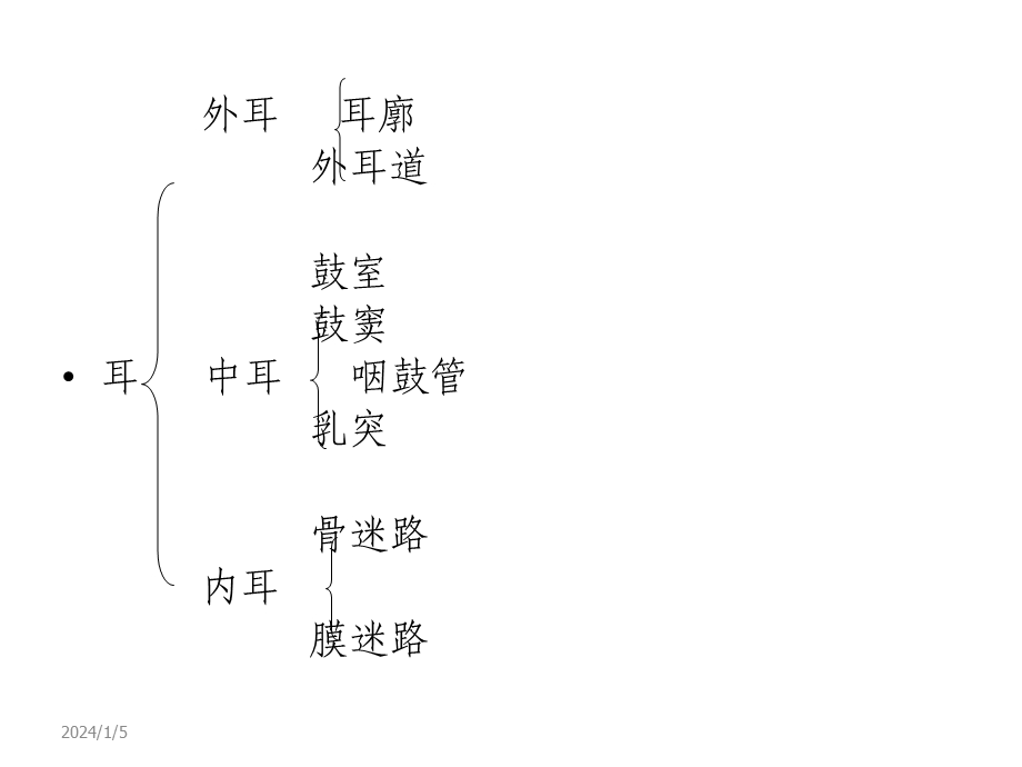 4耳解剖生理.ppt_第2页