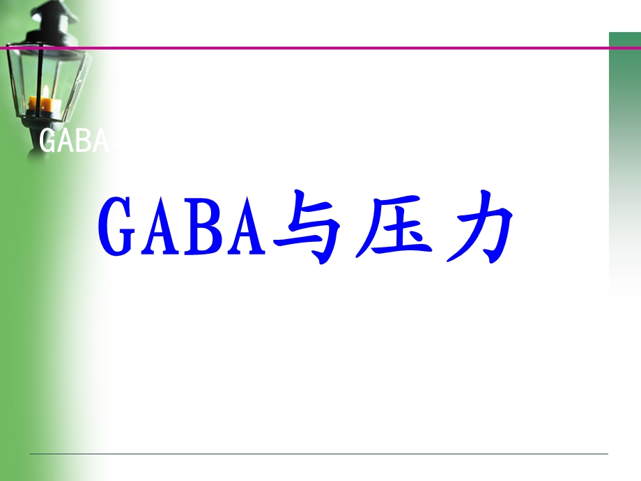 GABA与压力、失眠.ppt_第2页