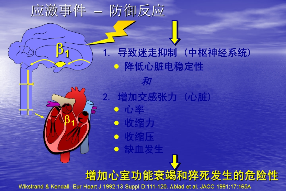 B他阻滞剂在心血管疾病中的临床应用.ppt_第3页