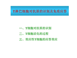 T细胞免疫.ppt