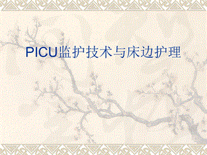 PICU监护技术与床边.ppt