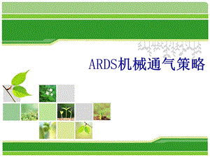 ards机械通气策略.ppt