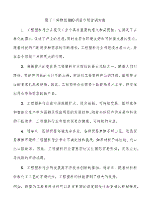 聚丁二烯橡胶（BR）项目市场营销方案.docx