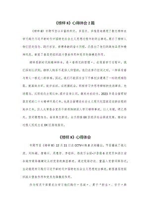 《榜样8》心得体会2篇.docx