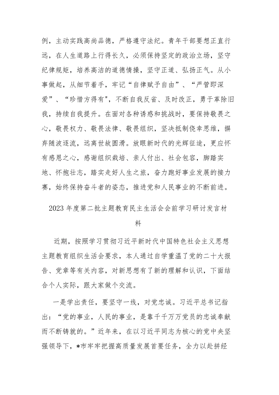 2023年度第二批主题教育民主生活会会前学习研讨发言材料(二篇).docx_第3页