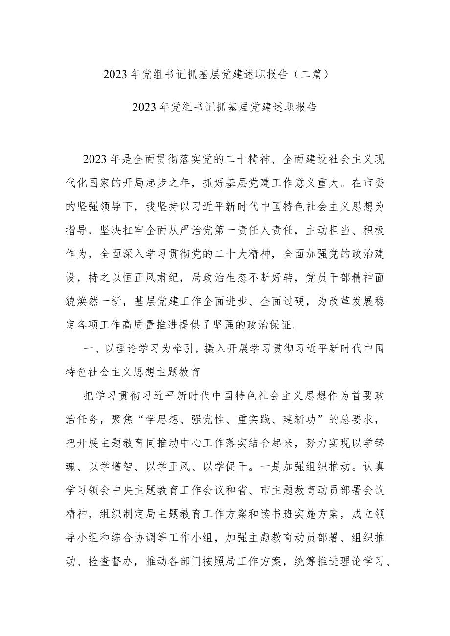 2023年党组书记抓基层党建述职报告(二篇).docx_第1页