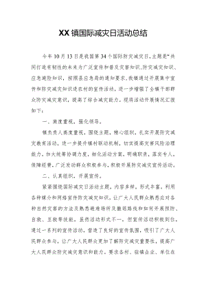 XX镇国际减灾日活动总结.docx