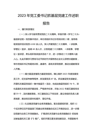 2023年党工委书记抓基层党建工作述职报告.docx