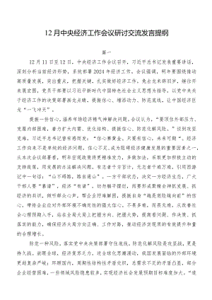 12月中央经济工作会议研讨交流发言提纲.docx