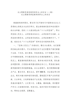 在主题教育典型案例剖析会上的发言(二篇).docx