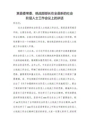 某县委常委、统战部部长在全县新的社会阶层人士工作会议上的讲话.docx