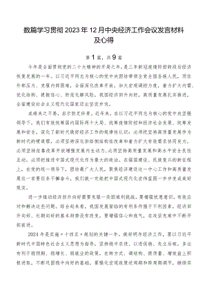 数篇学习贯彻2023年12月中央经济工作会议发言材料及心得.docx