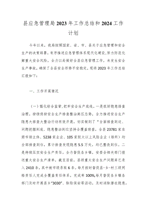 县应急管理局2023年工作总结和2024工作计划.docx