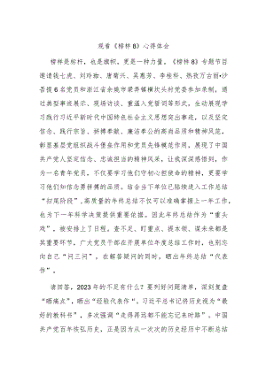 观看《榜样8》心得体会(4).docx