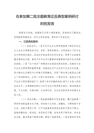 在参加第二批主题教育正反典型案例研讨时的发言.docx