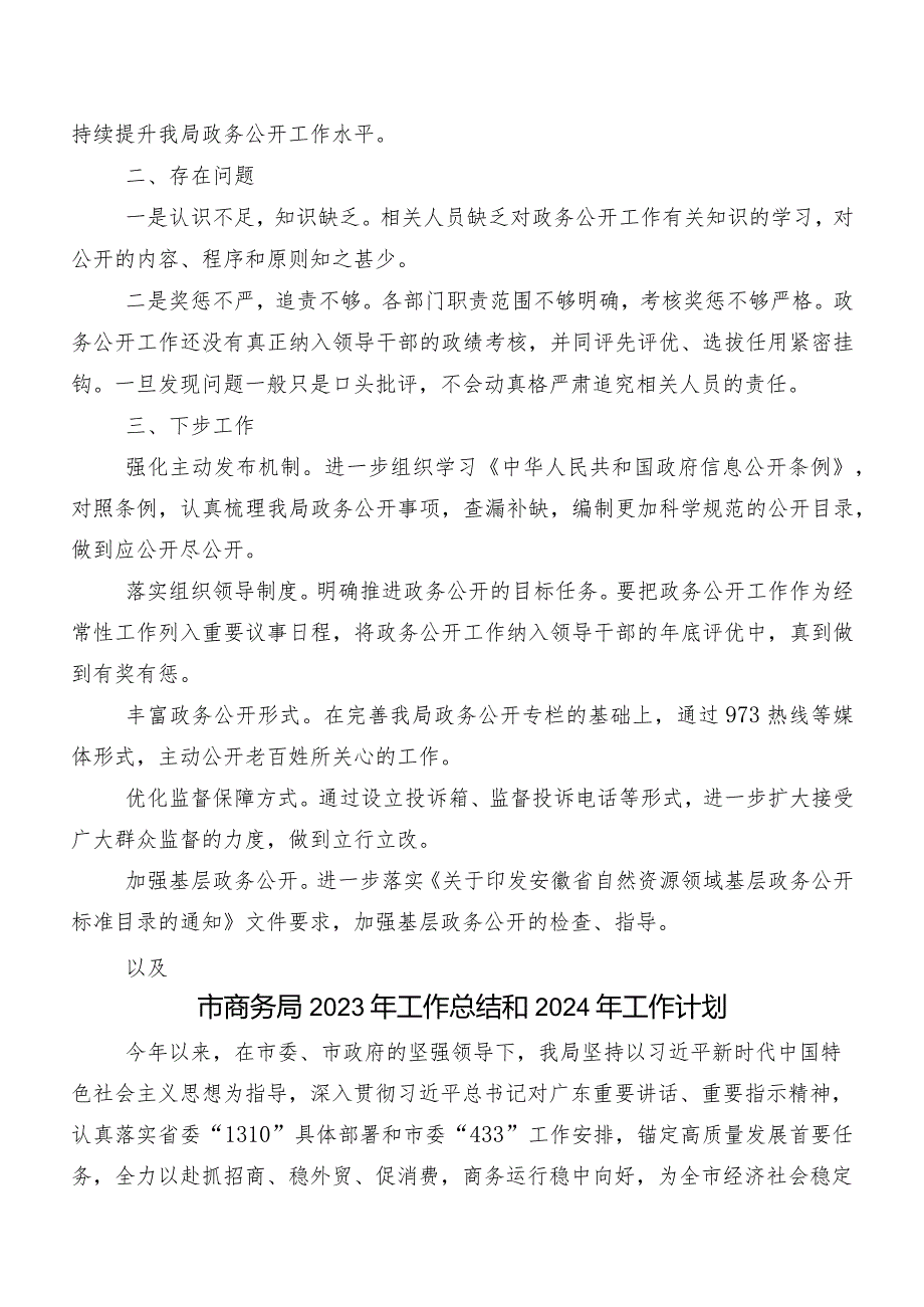 2023年XX市自然资源和规划局政务公开工作总结和2024年工作计划.docx_第2页