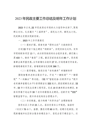 2023年民政主要工作总结及明年工作计划.docx