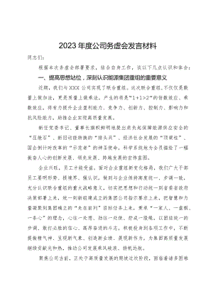 2023年度公司务虚会发言材料.docx