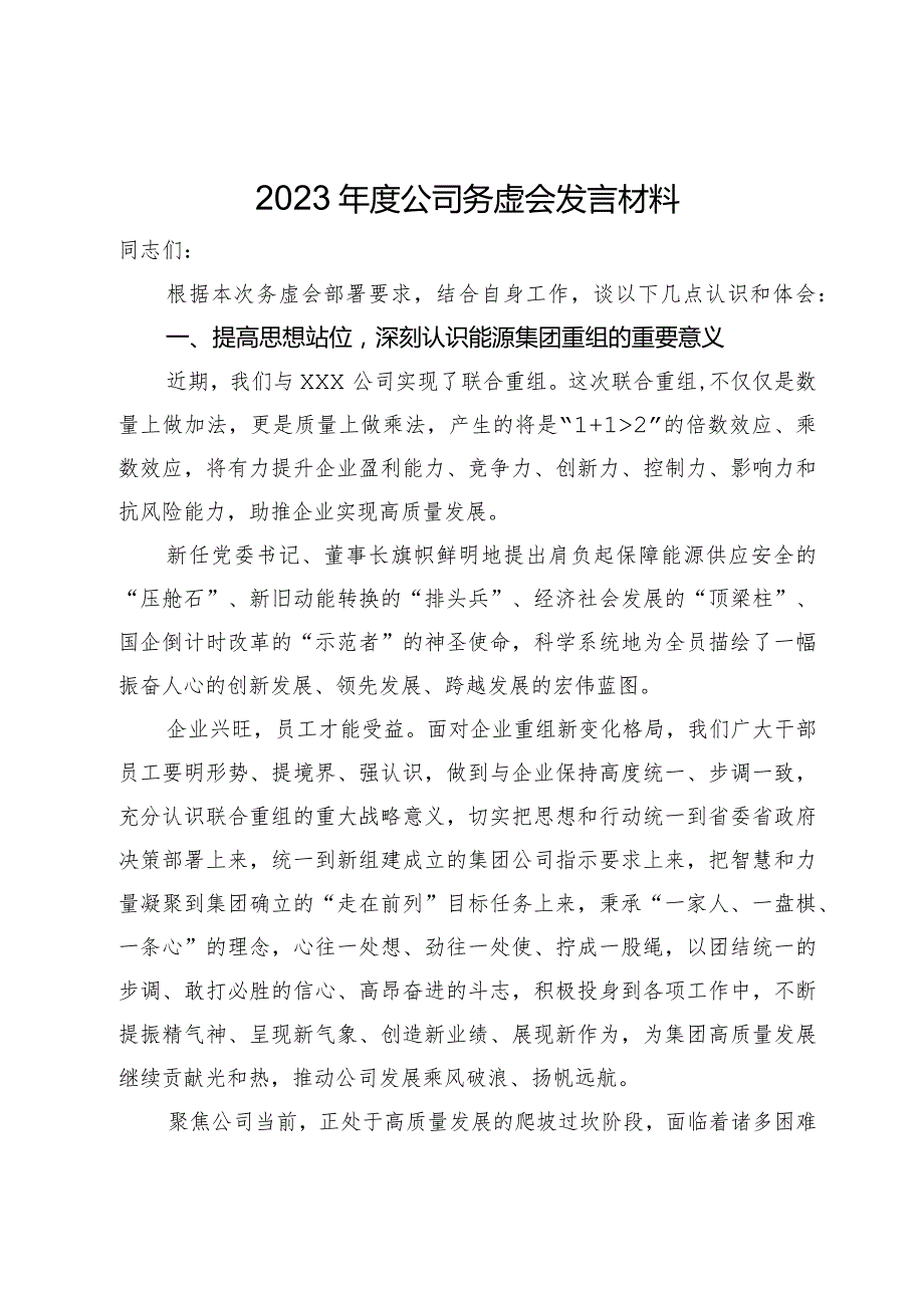 2023年度公司务虚会发言材料.docx_第1页