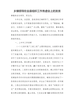 乡镇领导在全县组织工作务虚会上的发言.docx