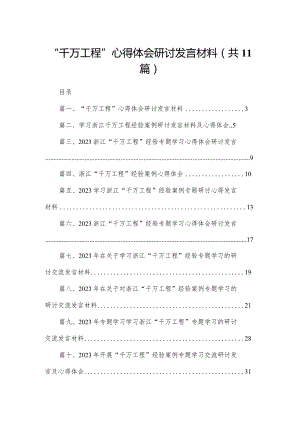 （11篇）“千万工程”心得体会研讨发言材料范文.docx