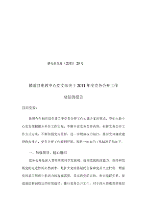 党务公开总结.docx