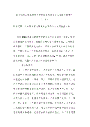 副书记第二批主题教育专题民主生活会个人对照检查材料(二篇).docx