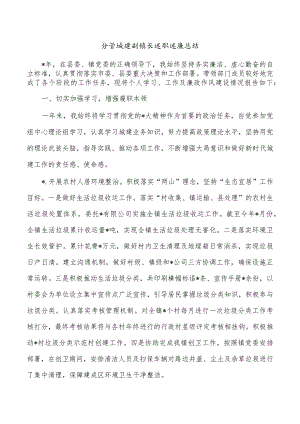 分管城建副镇长述职述廉总结.docx