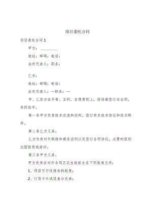 项目委托合同.docx