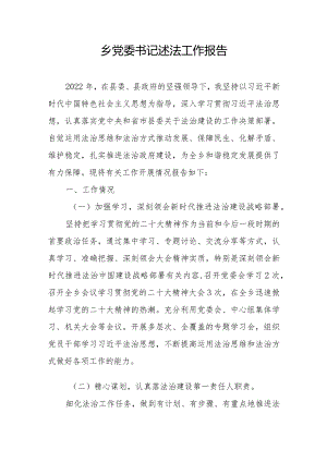 乡党委书记述法工作报告.docx